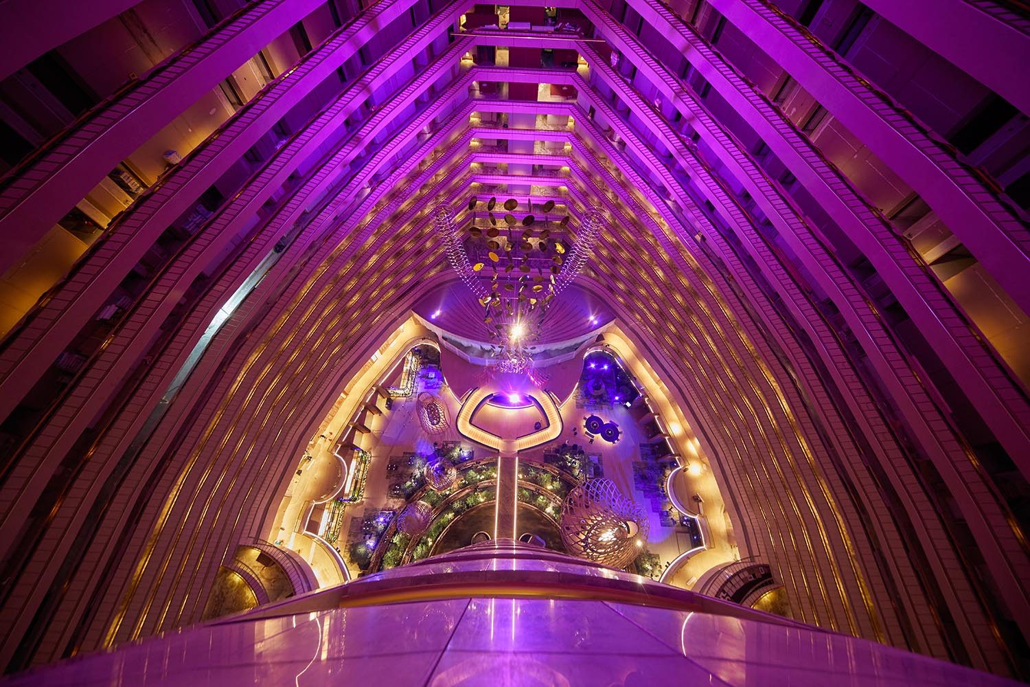 PRC MB In Light of Orchidea 02o