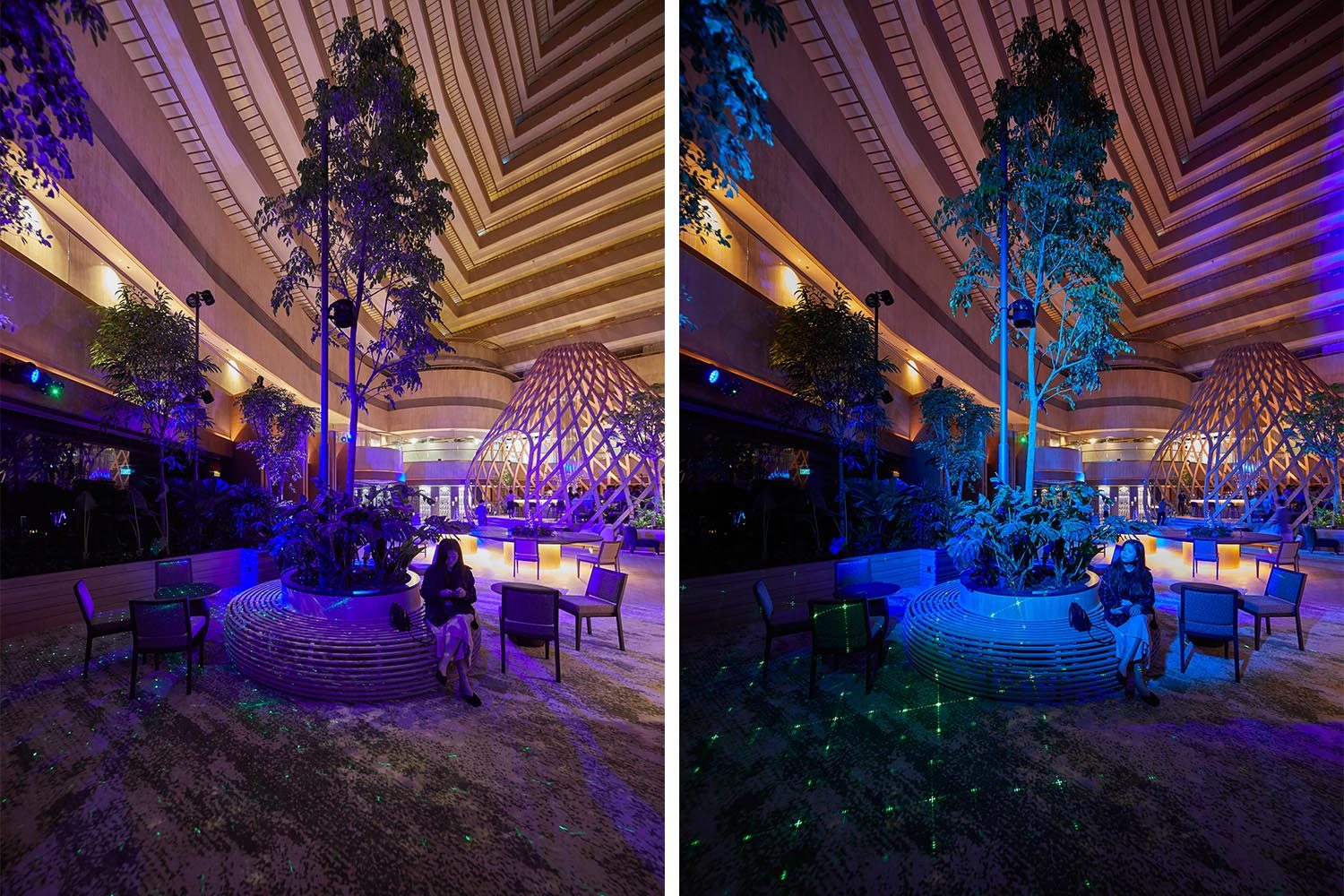 PRC MB In Light of Orchidea 03